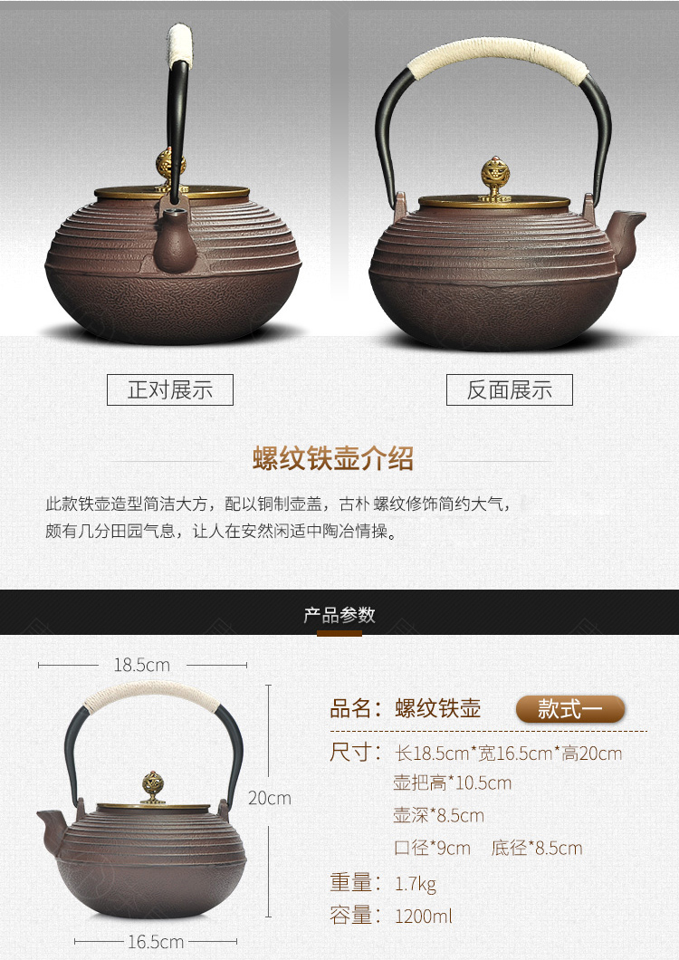 Tang Feng cast iron pot of tea kettle Japan electric heating electric TaoLu cast iron teapot brother pot kettle suit
