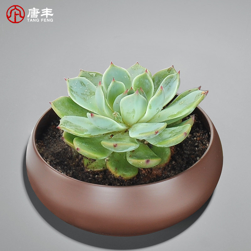 �Ʒ���������ɰ��ϴ��TF-3307