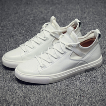  2020 new extra large size all-match trend white shoes 45 autumn mens shoes 46 Korean version of the tide shoes 47 casual board shoes 48