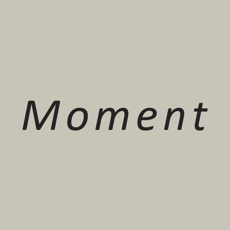 Moment 轻珠宝饰品的LOGO
