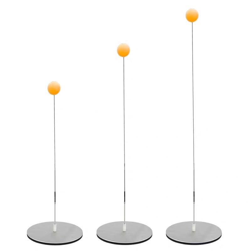 Trainer for training of personal trainer for table tennis trainer