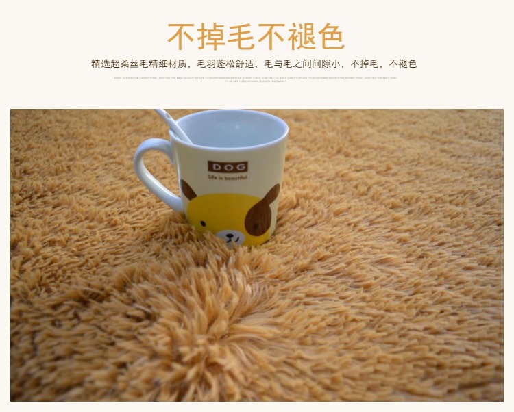 sofa phòng khách trong nhà ở nhà trước khi bàn ngủ cạnh giường ngủ đầy đủ phòng ngủ trải thảm đoạn trải nhựa của thảm tóc dài - Thảm thảm em bé