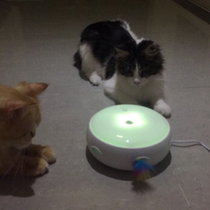 Consecte-HomeRun Hormann doughnut smart cat toy timed automatically teasing cat-stick turkey hairy cat toy