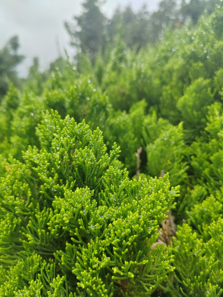 羽纶管业
