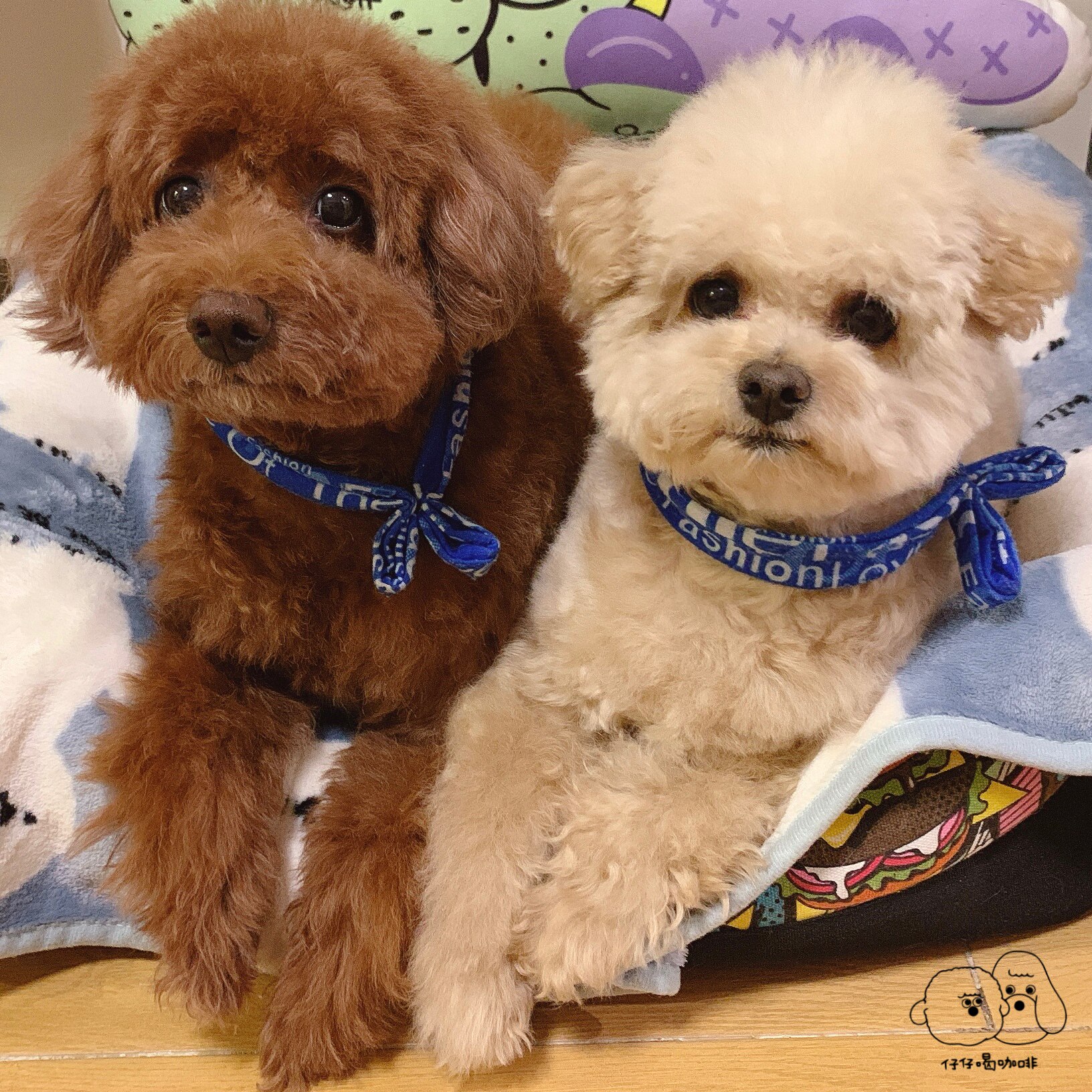 Zaizai drinking coffee 1 yuan hyperlink pat me pat me (shipping difference, etc.)