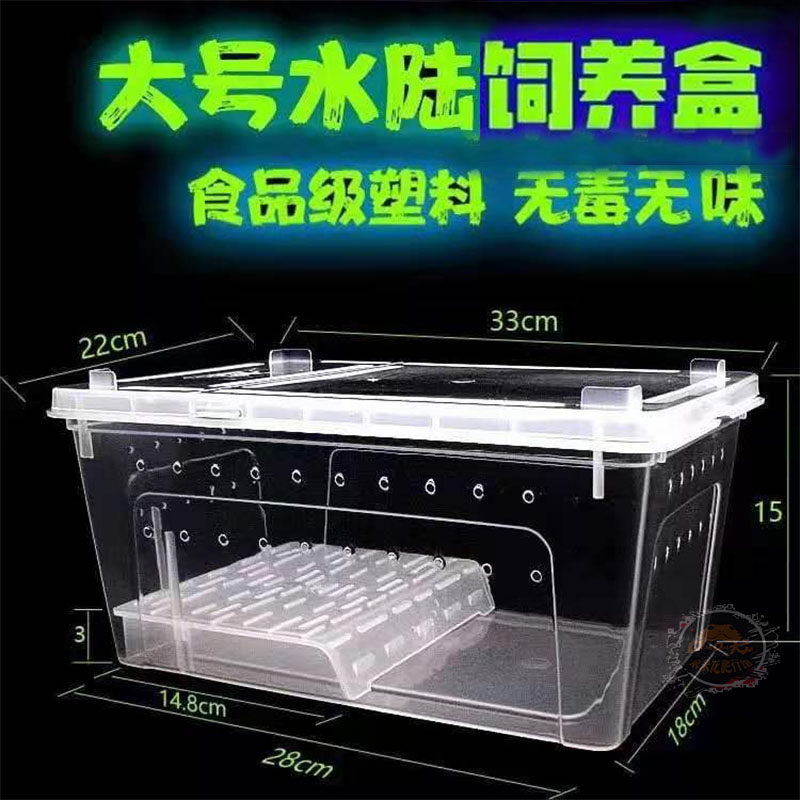 Surface Rearing Case Corner Frog Turtle Crab Rearing Box Turtle-cylinder Dry and wet separation Amphibious Rearing Box-Taobao
