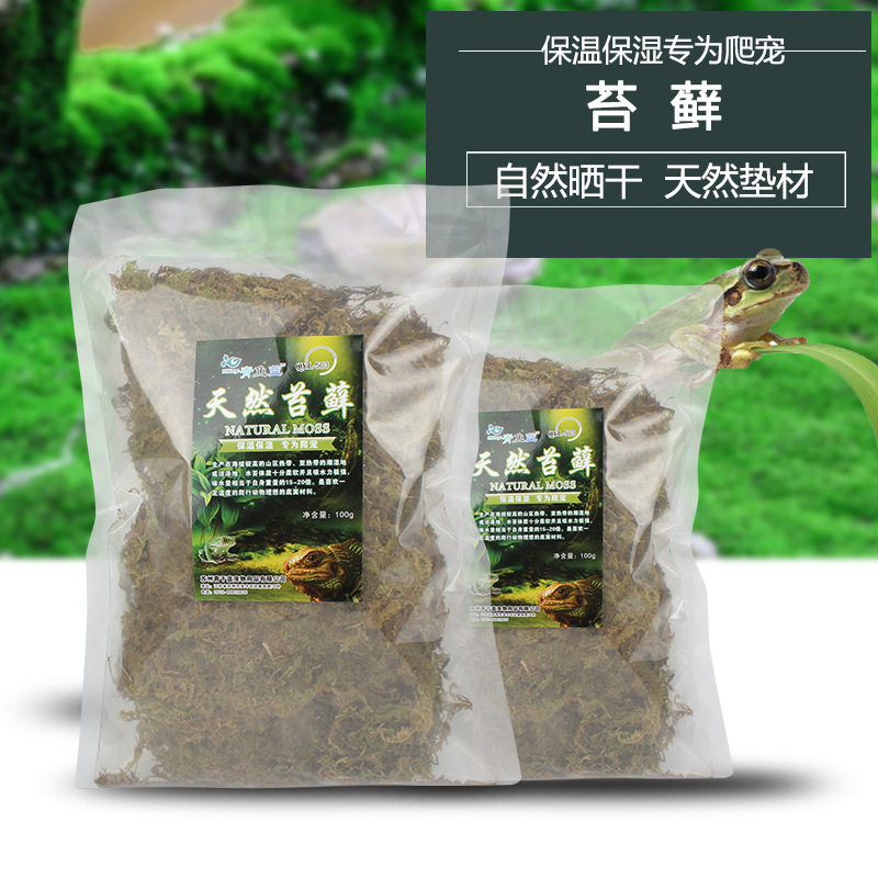 Climbing pet cushion moisturizing lotion moss turtle hibernation reptile lizard spider horned frog landscaping moss