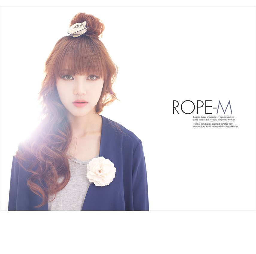 Extension cheveux - Chignon - Ref 248653 Image 17