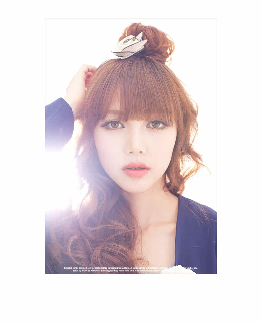 Extension cheveux - Chignon - Ref 248653 Image 15