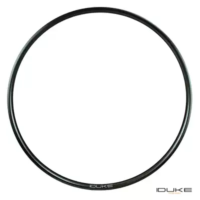 France Duke Mountain xc trail eccentric rim 299g Lucky Jack SLS 299