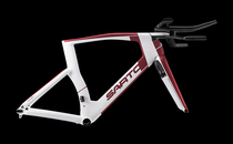Italy sarto customized handmade carbon fiber TT iron three timing car frame Ferox