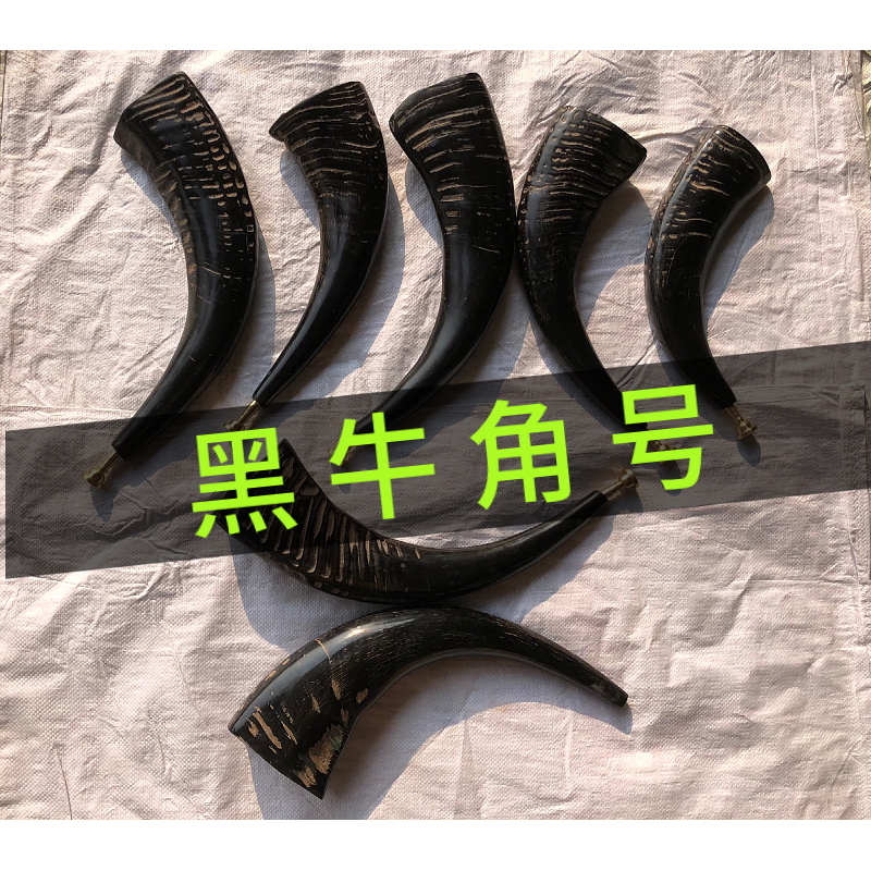 天然の黒水牛の角、プロ仕様の角、ヤクの角。プロでなくても吹ける角です。