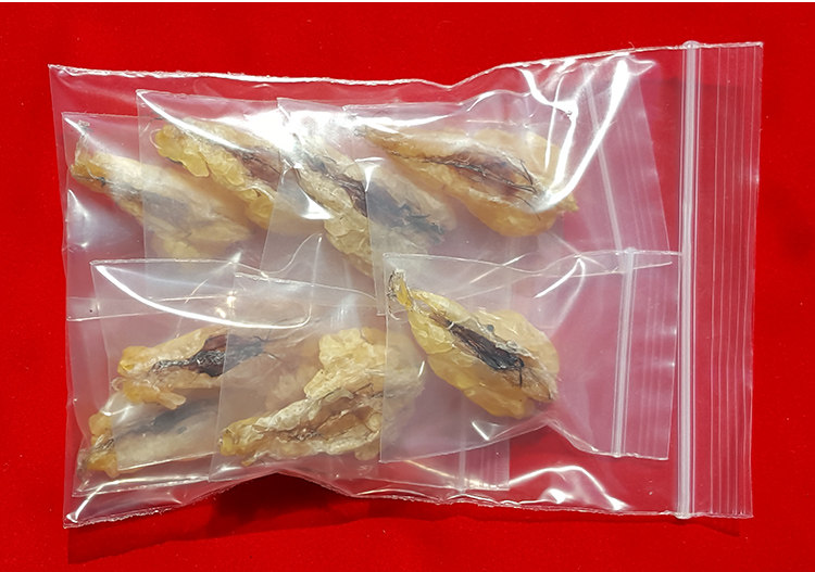 Подробности снежного моллюска 181018_08.jpg