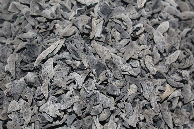 Сухой гриб 750