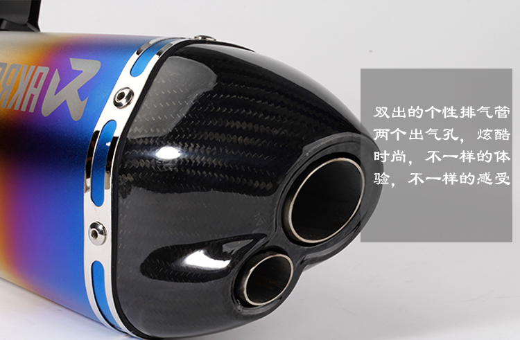 Xe máy sửa đổi xe thể thao chân trời Kawasaki sợi carbon lớn hình lục giác đôi miệng ống xả Scorpio phổ quát - Ống xả xe máy ống pô xe máy
