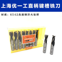 Shanghai Youyigong straight shank keyway milling cutter 2 flutes 4 5 6 8 10 12 16 20 super hard white steel two flute milling cutter