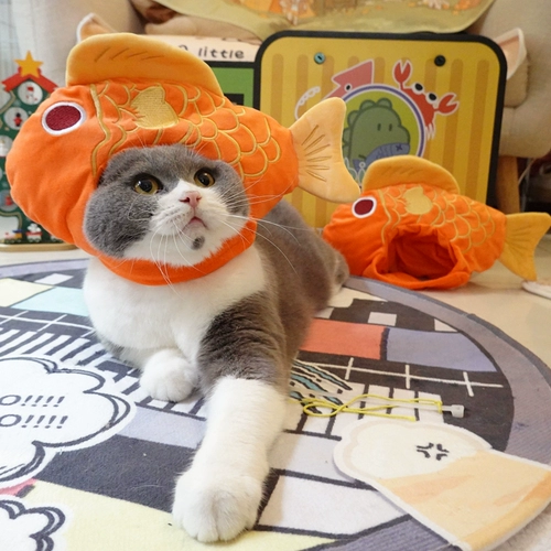 Удачи домашним животным каждый год, удачи в новом году, головной убор в виде рыбы кои, новогодняя шапка для кошки, благоприятное платье, британский короткий американский короткий головной убор