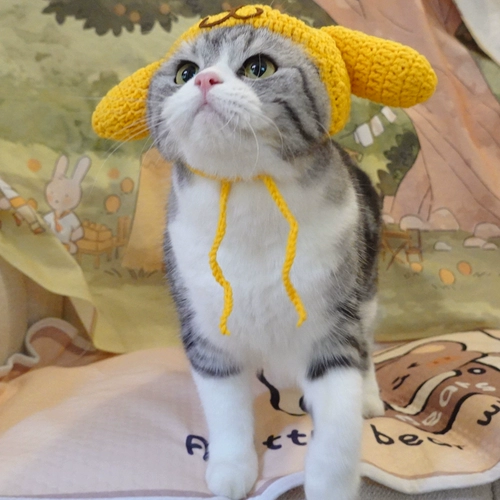 Милая шерстяная шапка, хлопковая голова куклы, шлем, домашний питомец, кот