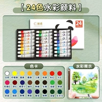 Пигментированная акварель, 24 цветов