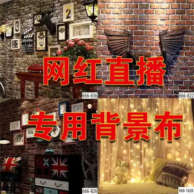 Net red wall background cloth anchor male and female live HD special decorative curtain 3d three-dimensional landscape stab tapestry