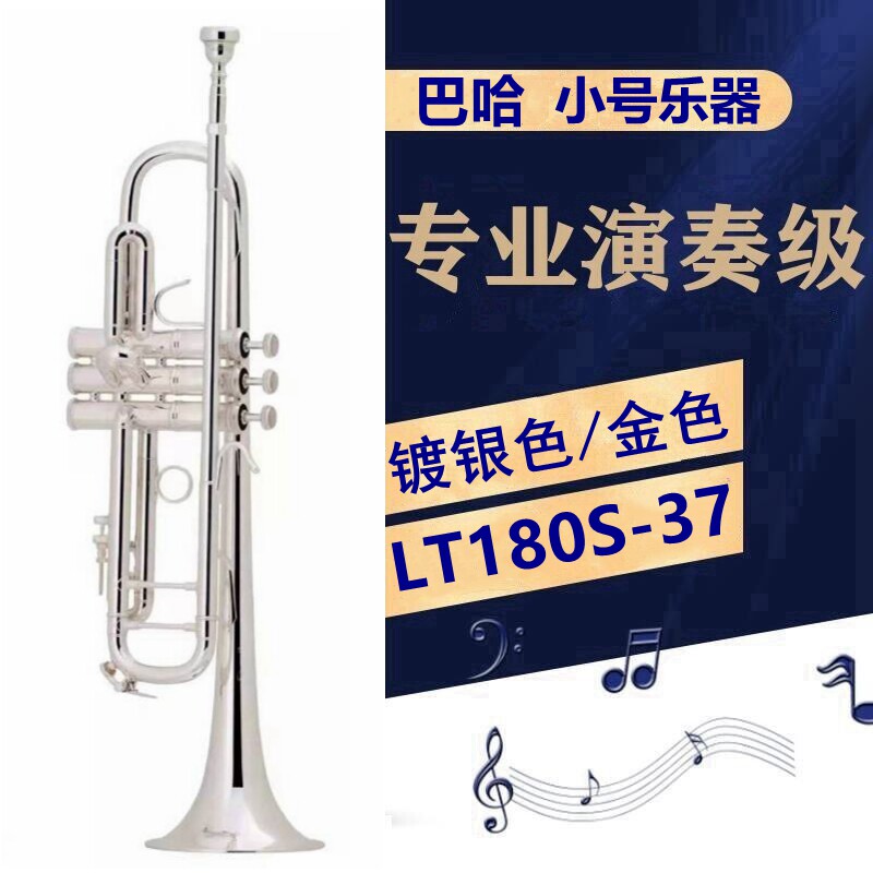Baha Standard Edition LT 180S - 37 silver - plated gold band musical instrument lower B - tune for beginning examination professional playing