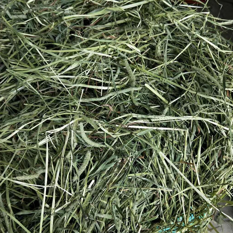 2022 head stubble Timothy grass high quality tigrass Rabbit totoro guinea pig Dutch pig hay gross weight 1000 grams