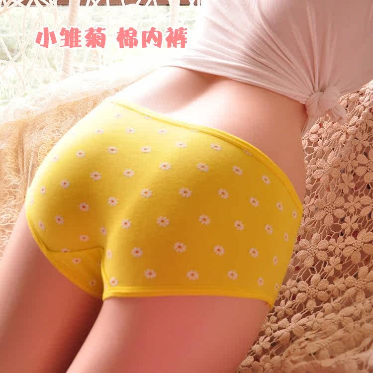 Slip en coton - Ref 639222 Image 13