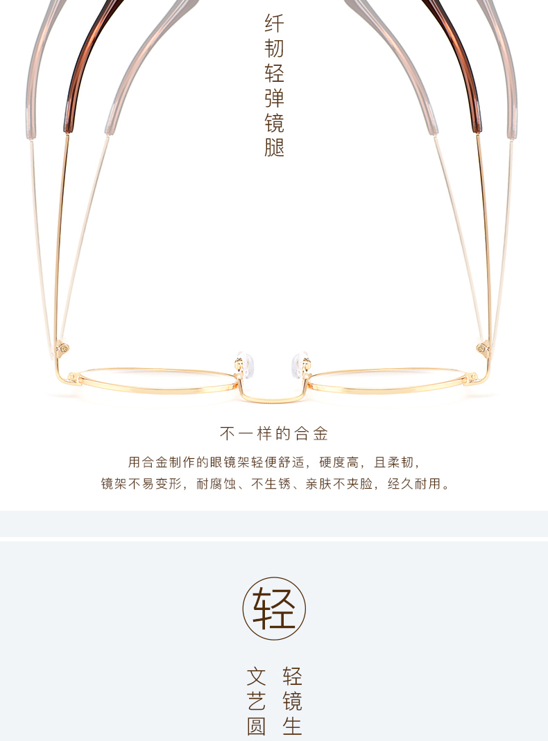 Montures de lunettes en Alliage cuivre-nickel - Ref 3141673 Image 13