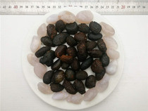 Inner Mongolia Alashan Kite Stone Natural Fine Kissimian Kiskstone Feast Ornamental Stone Feast