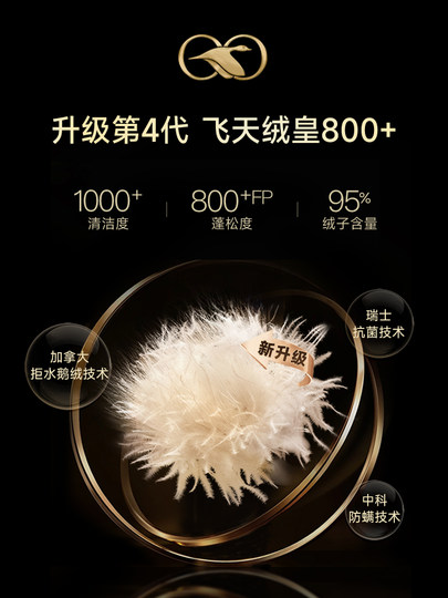 Black Pearl 4.0 large six-panel outdoor down jacket for men and women, mid-length winter style