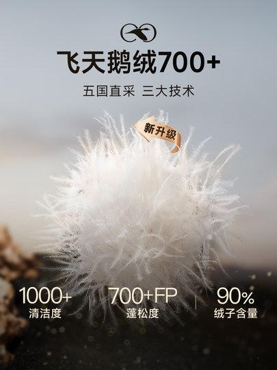 Pioneer 4.0 Fünf-Gitter-Daunenjacke für Herren, neue Winter-Herren-Kurzjacke