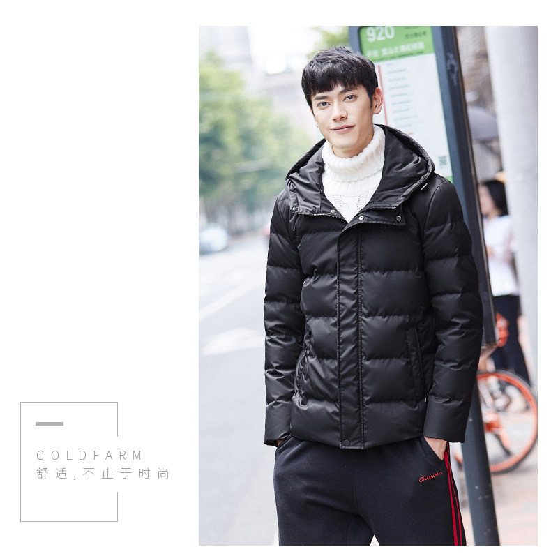 Blouson homme GOLDFARM   en Polyester - Ref 3120875 Image 30