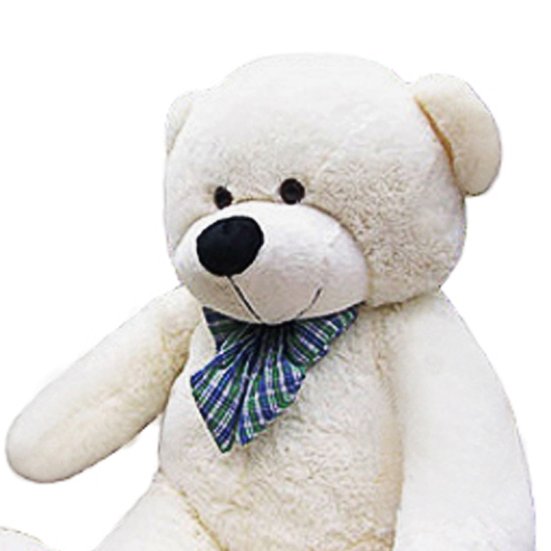 korean teddy bear brand