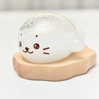 Бутылка с прогнозом погоды кита