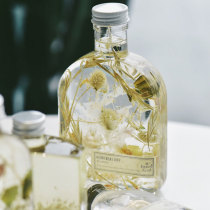 Li Chade HB Plant floating bottle living room office decoration decoration Net red creative furniture small gift