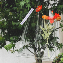 Transparent bag bag women bag 2020 New Tide jelly bag large capacity fashion Korean version Net Red big bag portable shoulder bag