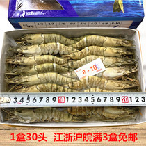 8-10 grass shrimp 30 black tiger shrimp frozen spotted shrimp Jiangsu Zhejiang Shanghai Wanman 3 boxes free of mail