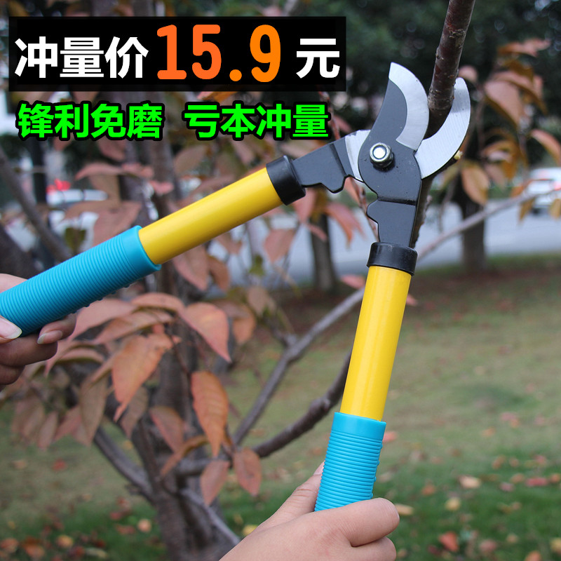 Fruit tree trimming tree scissors effectually trimming and cutting high branch cutting cutting fruit cutting fruit gardening tools