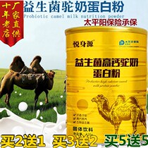 Xinjiang pasture camel milk powder preferred multi-dimensional high calcium probiotics middle-aged camel milk protein powder solid beverage