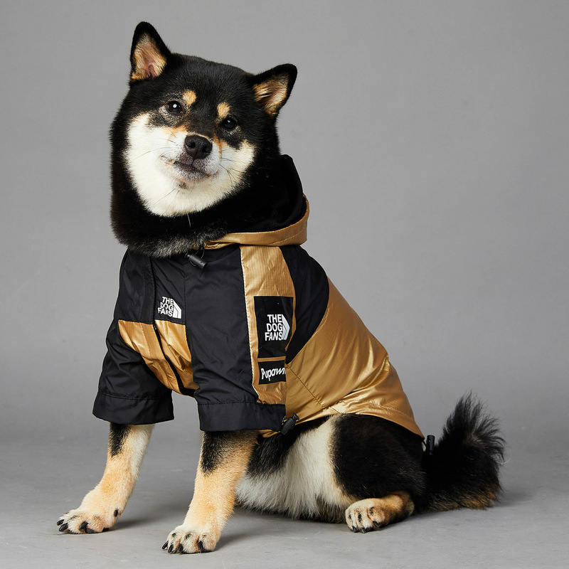 High-Quality American Satellite Cloud Map Windproof and Rainproof North Dog Brand New Raincoat for Small, Medium, and Large Dogs Pet Jacket