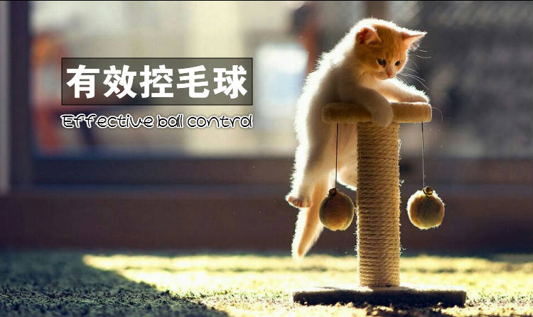 Cát thực phẩm Huanhuazi cá hồi tự nhiên hương vị kitten mèo trưởng thành mang thai mèo phổ 2.5 kg5 kg số lượng lớn thức ăn cho mèo hạt cho mèo