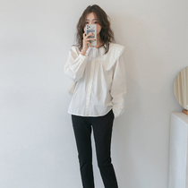 Pregnant Woman White Shirt Spring Autumn Season Long Sleeve Short blouse Loose Big Code 100 Hitch Pure Cotton Pregnant Woman Professional Shirt