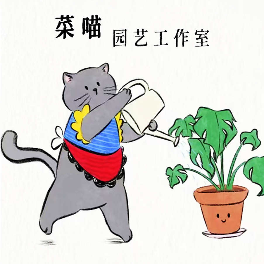 菜喵园艺工作室