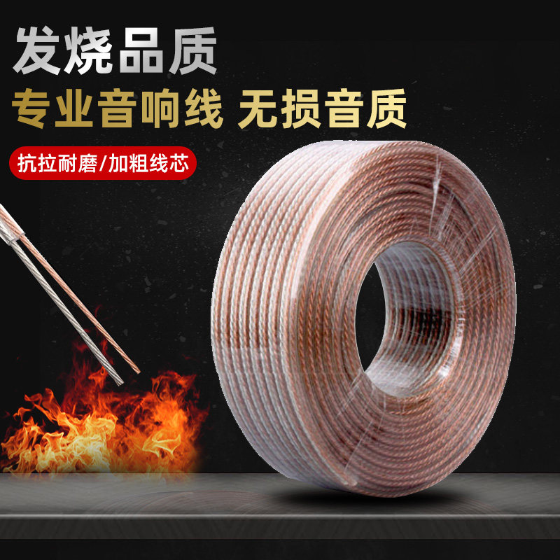 Guoyu Audio Cable, Dedicated Speaker Cable, Waterproof Pure Copper Audiophile Cable, Amplifier Audio Cable, Dedicated Cable for Connecting Speakers