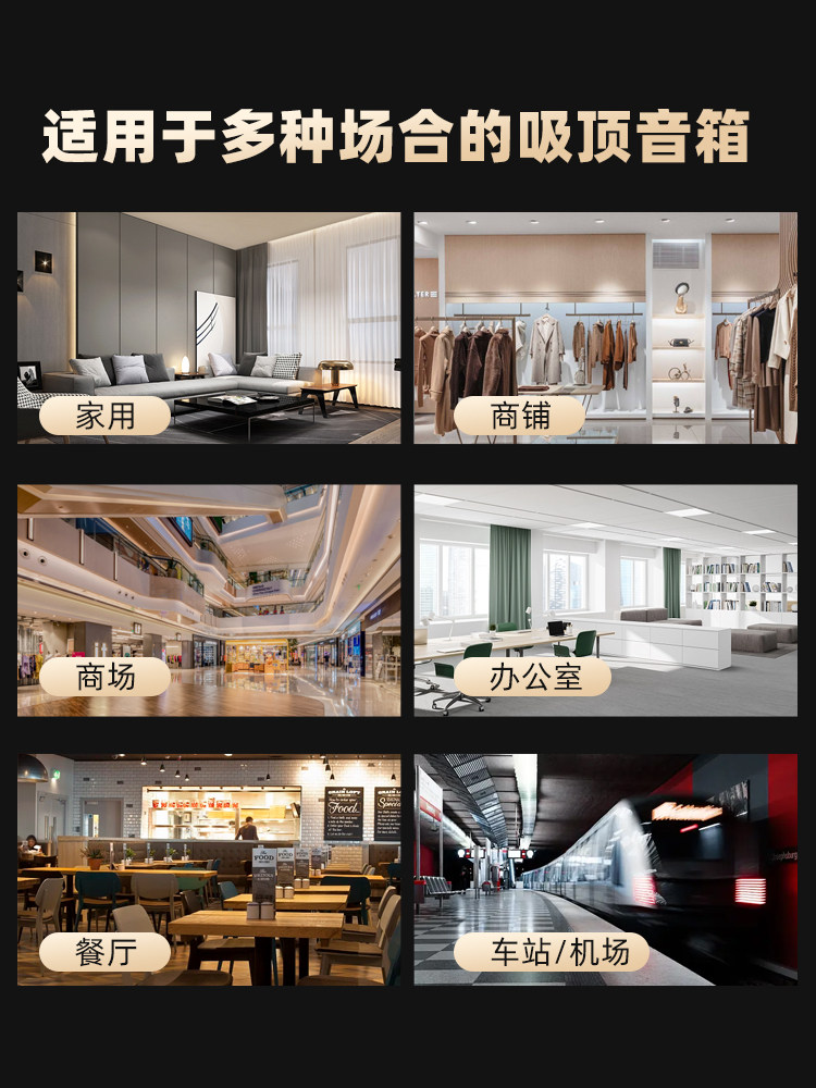 Guoyu Coaxial Fixed-Resistance Ceiling Speakers Ceiling-Mounted Speakers Home Subwoofer Surround Sound