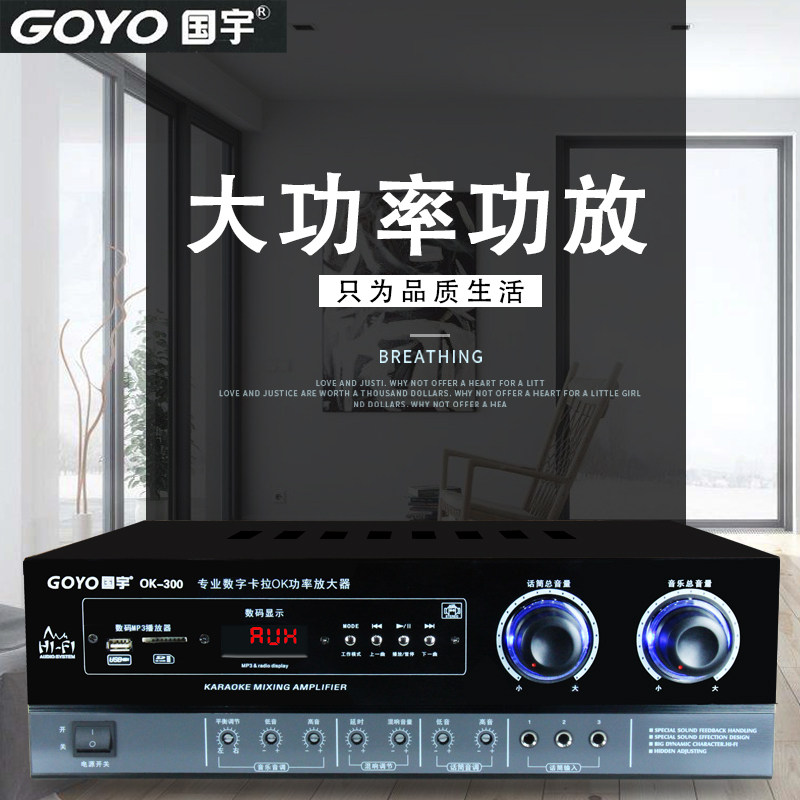 Guoyu 300W Fixed Resistance Hifi High-Power Amplifier Karaoke Home Ktv Stage Av Two-Channel Speaker