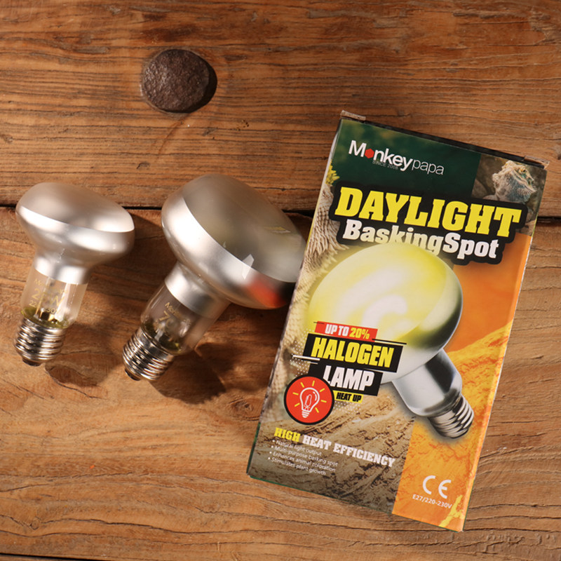 Reptile heating UVA Halogen day lamp Heating lamp Climbing pet tortoise Lizard snake insulation lamp Turtle sun back lamp