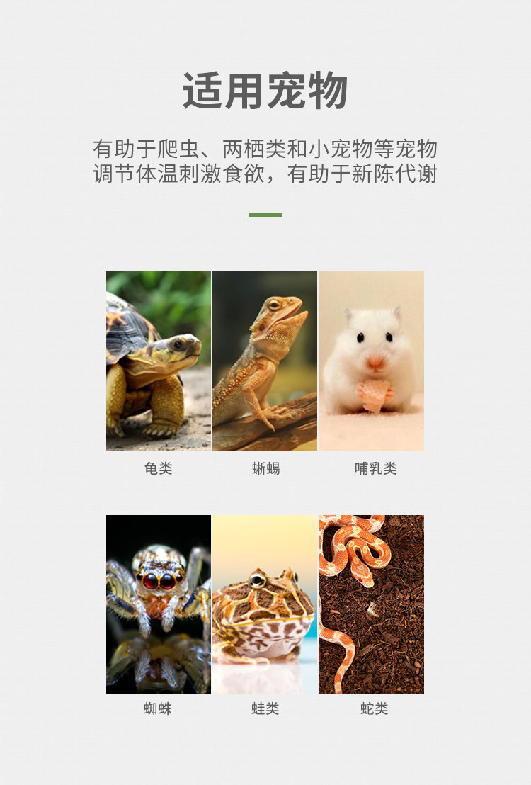 Аксессуары для рептилии reptizoo宠物爬宠加热垫温控睫角守宫蛇角蛙乌龟寄居蟹保温加温片 101564831