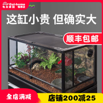 New reptilizoo reptile pet breeding tank lizard snake tortoise glass tank gecko climbing tank reptile landscaping rainforest tank