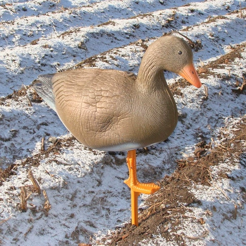 10 комплектов североамериканского утилита